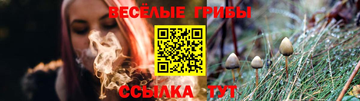 Псилоцибиновые грибы Cubensis Усть-Джегута